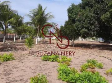 Foto 02 · EXCELENTE ÁREA ESCRITURADA PARA GRANJA OU UM BELO CONDOMÍNIO FECHADO EM PARQUE DO JIQUI
