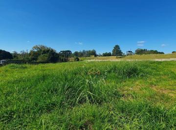 8ff0caca0fb41d1bee88492c1acac62939f920bd · Terreno Residencial para venda e locação, Chácaras São Martinho, Campinas - TE3149.