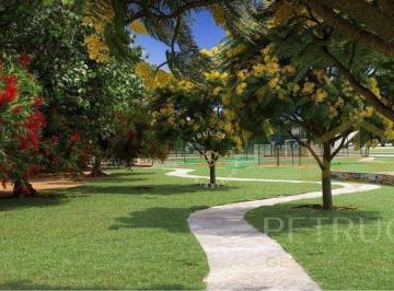 7cdbca2f4625ee6a47f7a7eb757bfdc1ef6769e2 · Terreno Residencial à venda, Parque Campo Bonito, Indaiatuba - TE0776.