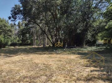 369e0c2b9f2f0be869063c88d5c6af980ddebe50 · Área Residencial à venda, Sítio Recreio dos Cafezais, Valinhos - AR0252.