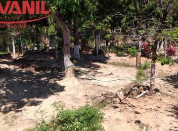 Foto 01 · Chácara em Pedreira disponível para Venda!