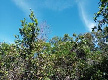 Terreno , Mata de São João · Terreno com 600m², Diogo, Linha Verde-BA, arborizado, bem localizado