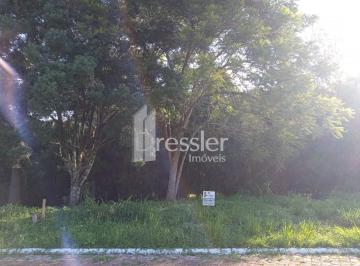 Terreno · 
                Terrenos Residenciais - Carneiros
                