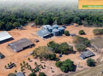 Rural · 5000m² · 1 Quarto · 1 Vaga · Fazenda REGIAO DE CAMPO NOVO