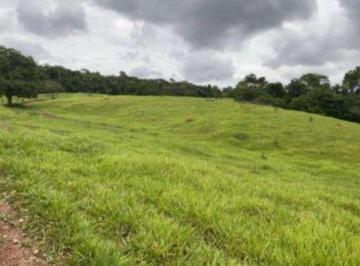 Rural , Vianópolis · FAZENDA EM GOIAIS-55ALQUEIRES