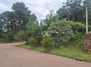 673849_ir29gCzVkvR7Jxn2UO_673849675c4216332d7.jpg · Terreno com 386,24 m2 na serra gaúcha a venda por R$ 270.000,00.