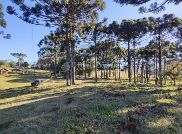 1 · Chacara, à venda em Balsa Nova no Bugre