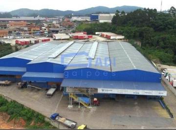 Comercial · 8000m² · Galpão - 8.000 m² - Rod. Anhanguera - Osasco- SP