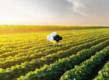 Rural · 290ha · Fazenda Área Rural a Venda em Camaquã RS Lavoura