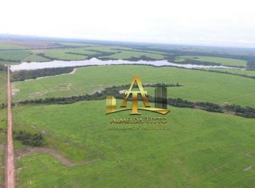 c482e020df4bd7a985f92bb500e7a8e7c15502e4 · Fazenda à venda  - Zona Rural - Araguaína/TO
