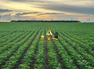 fa0a1042635608f48fd010c2bf559297c54631f3 · Fazenda à Venda na região de Confresa - MT.