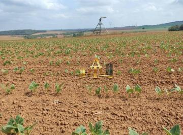 6a4d4fd65d737fa4a5a09432686f110676b0023b · Fazenda à Venda - Zona Rural - São Miguel Arcanjo-SP