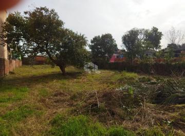 673510_ijT61W7u2d44b_6735106759e6891ccbe.jpg · Terreno com 505 metros na rua Lino Spall São José Camobi