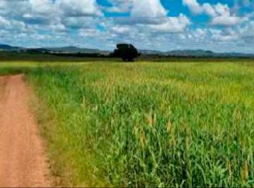 Rural , Paranatinga · FAZENDA-PARANATINGA-MATO GROSSO 64 ALQUEIRES