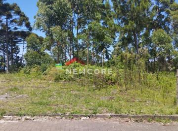 Terreno · 360m² · Lote em Rua Camélias - Centro - São Francisco de Paula/RS