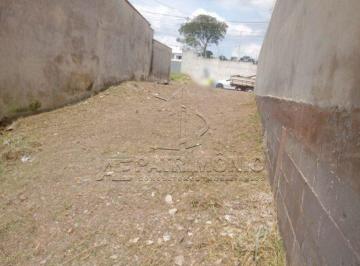 92319_iKsA11X7q44M7d_923196764245619294.jpg · TERRENO NO JARDIM GONÇALVES