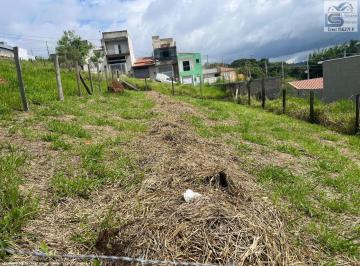 202412181555179293.jpeg · Terreno para Venda em Pinhalzinho, Centro