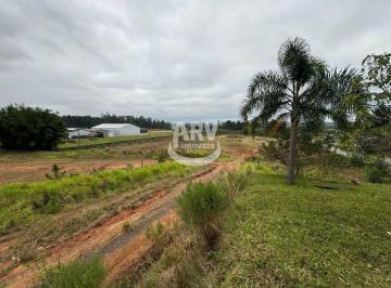 Comercial · 30000m² · Terreno - Bairro Sítio Gaúcho - Gravataí - RS