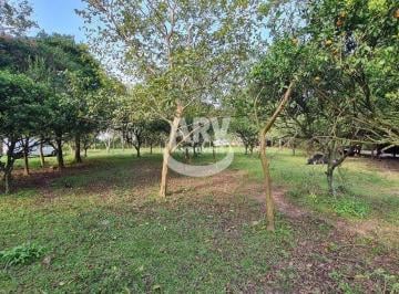 Casa · 6000m² · 2 Quartos · Sítio  - Neópolis - Gravataí - RS