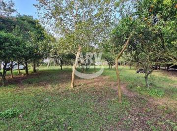 Casa · 6000m² · 2 Quartos · Sítio - Neópolis - Gravataí - RS