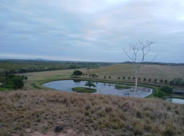 Fazenda a venda Carapebus · Fazenda-venda - Carapebús-RJ - 4 KM frente praia/mar - 230 Alqueirão, 55 Milhões