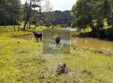 Rural · 72000m² · 4 Quartos · Sítio em Centro  -  São Lourenço da Serra