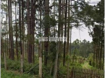 Terreno · 54330m² · EMBU-GUAÇU - CIPÓ DO MEIO - TERRENO COM 54.330.12M²