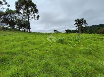 674770_iF98C7e5f53M47AH_6747706765cbface71a.jpg · Chácara com 3 hectares no Juá em São Francisco de Paula.