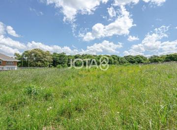 75401_iLu3OytW78_7540167461e5430c6f.jpg · Terreno à venda - em Campo Largo