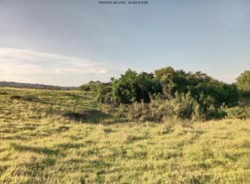 Foto 01 · Chácara - Jacarezinho