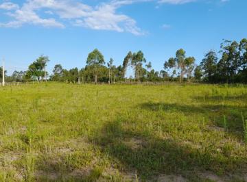 416524.jpg · Área de Terra - Bairro Curralinhos