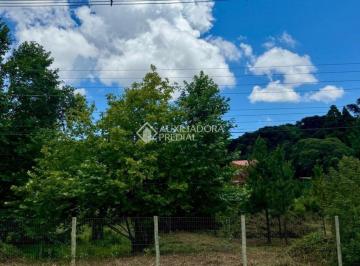 662138_iSV7w41v8YCF57_662138675b3cdd4e268.jpg · Terreno à venda - em São Francisco de Paula