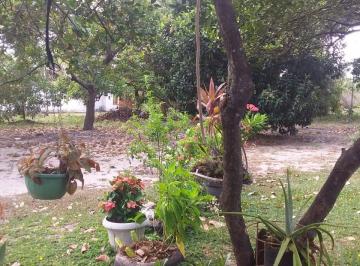 Rural , São Luís · Vendo sítio no São Brás dos macacos