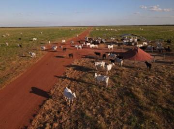 Fazenda a venda, Porto Alegre do Norte, Mato Grosso · Fazenda a venda, Porto Alegre do Norte, Mato Grosso, 32 mil Hectares, 750 Milhões