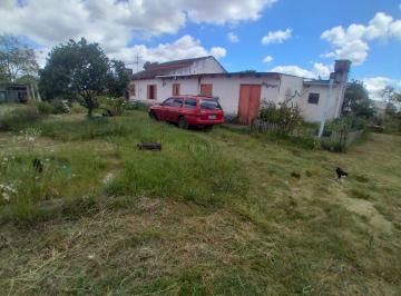 12030_ig7196Ho8I22CwN721_1203061ba63c832f3c.jpg · Imoveis - no Distrito Domingos Petroline