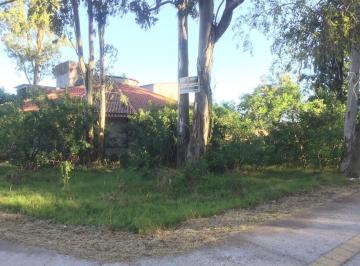 12855_ilac586Lktz17R_128556230fc5fb311a.jpg · Imoveis - em Cassino