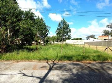 6999_iE900X08405414Qi7F_69995be057273f385.jpg · Imoveis - no Parque Residencial Jardim do Sol