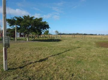 13642_iQ108wvx28_13642629e8341e6550.jpg · Imoveis - em Senandes