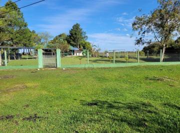 15842_i9M90hGDg1Rb7z_15842644c02a96bacb.jpg · Imoveis - em Senandes