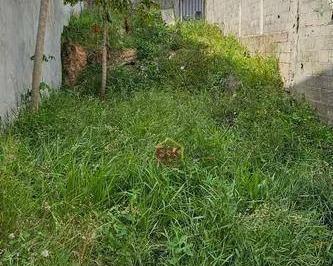 945f2f6b27213cc4c85888b6c7d556fed6f810e2 · Terreno à venda, 127 m² por R$ 178.000 - Parque Residencial Flamboyant - São José dos Campos/SP