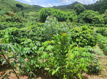 8e510c4c44871563867cf4533157fdb1.jpg · Fazenda / Sítios / Chácaras à venda em São Sebastião Da Bela Vista, no bairro Zona Rural