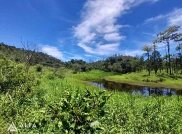 fazenda-com-4-quartos-a-venda-em-barbacena-correia-de-almeida1140140.jpeg · Fazenda à venda em Barbacena, Correia de Almeida, com 4 quartos, 53ha