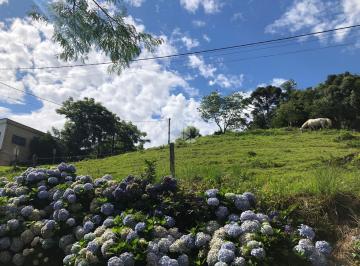 675049_i7ca9496I3JLJ_675049676ffe0d3f89c.jpg · Terreno no Bairro Recanto do Sossego em Nova Petrópolis/Serra Gaúcha