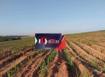 4155f757104ddba0cd787872b80decc4045e5c26 · Fazenda em Lins - SP