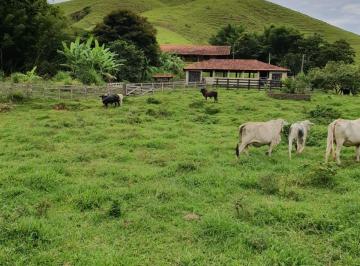 Rural · 200m² · 4 Quartos · 5 Vagas · Fazenda em Cunha 65 alqueires