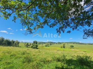 Foto 01 · Fazenda 52 Alqueires (2.516.800 m2), 400 Cabeças, Água Abundante, Araruama, RJ