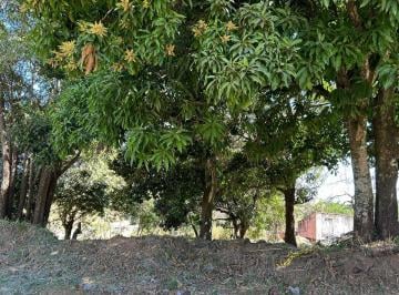 imagem-1 · Lote em Aparecida - Vila Maria  Área / Terreno à Venda, 1214 por R$ 606.000 no setor Vila Maria IN25