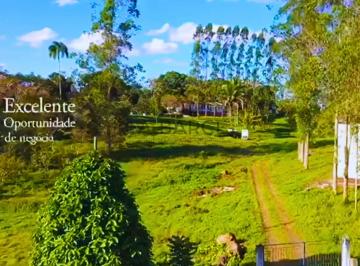 Rural , Itajuípe · FAZENDA CRUZEIRO DO SUL DE 161 ha - ITAJUIPE/BA