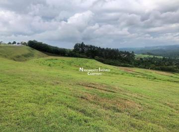ed50ef54bacecf0540b47fb73a065c095cb4b866 · Terreno à venda, altíssimo padrão, 29201 m² por R$ 22.000.000 - Loteamento Residencial Entre Verdes