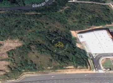 c002f14a9befa56bb7e3c87044705925c623bf34 · Terreno à venda, 2341 m² por R$ 7.099.443,00 - Loteamento Residencial Arborais - Campinas/SP